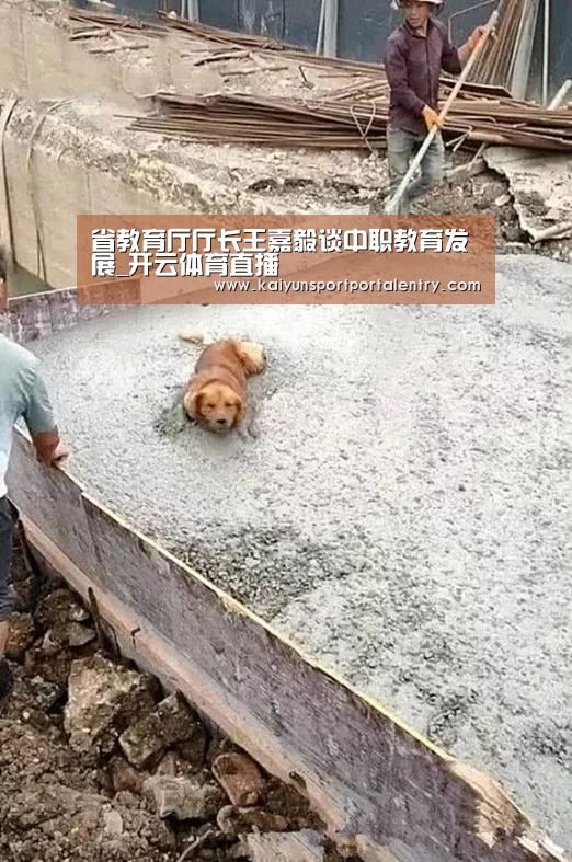 开云赛事