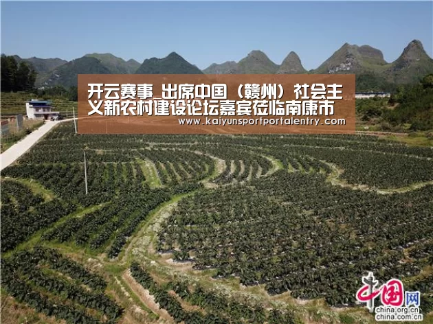 开云体育官方入口