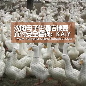 沈阳母子住酒店被要求付安全套钱:KAIYUN官网(图3) KAIYUN官网