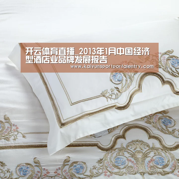开云体育直播_2013年1月中国经济型酒店业品牌发展报告(图2) KAIYUN官网