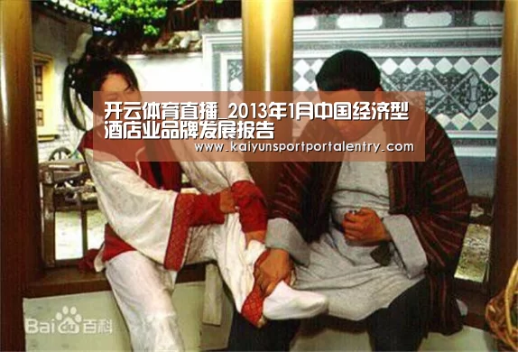 开云体育直播_2013年1月中国经济型酒