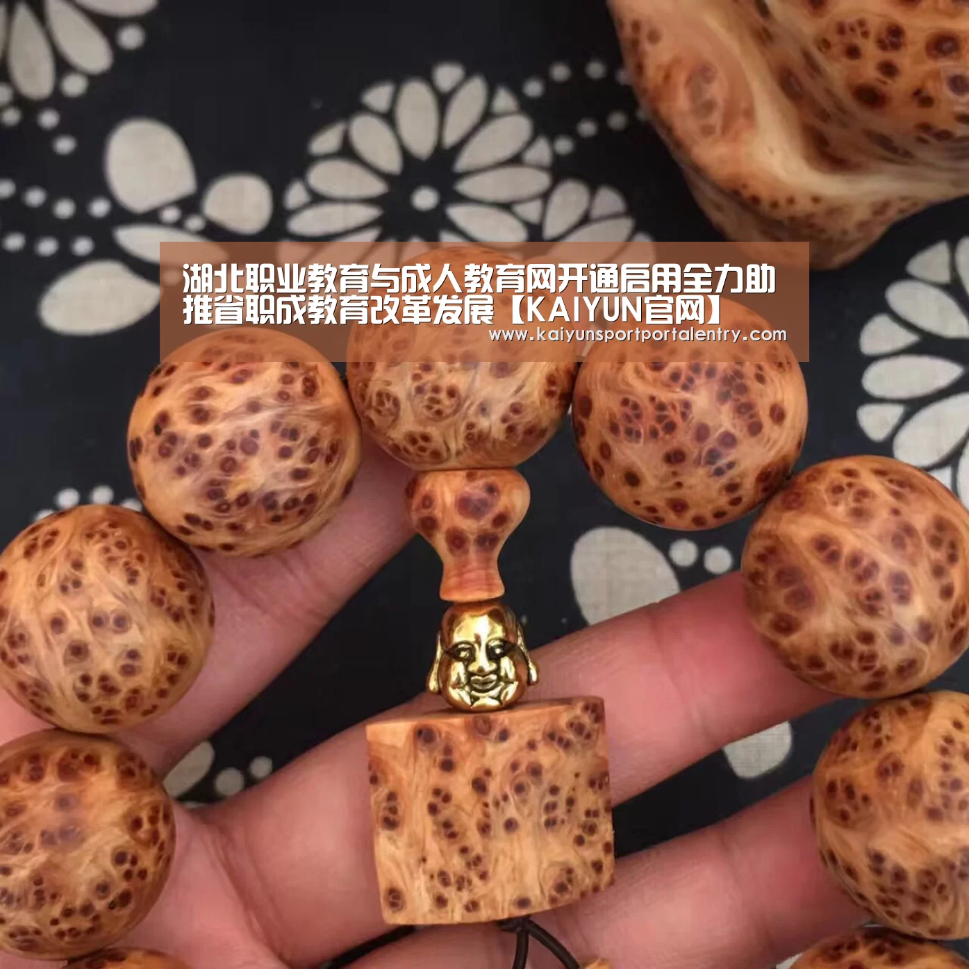 湖北职业教育与成人教育网开通启用全力助推省职成教育改革发展【KAIYUN官网】(图2) KAIYUN官网